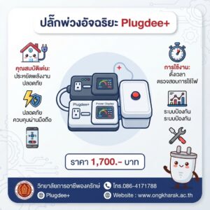 ธุรกิจ “ปลั๊กพ่วงอัจฉริยะ”